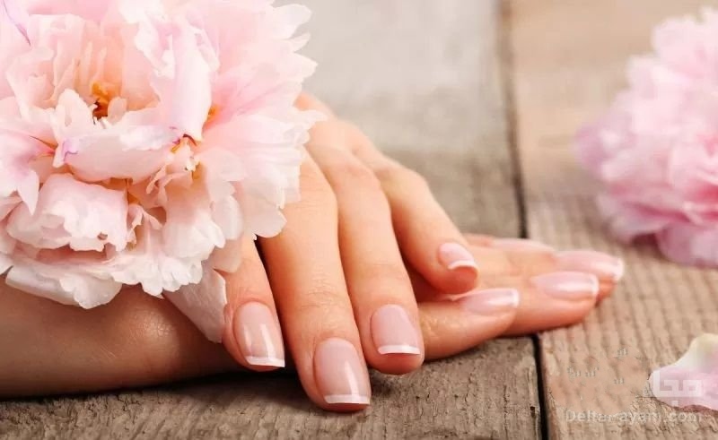 بهترین تقویت‌کننده گیاهی ناخن