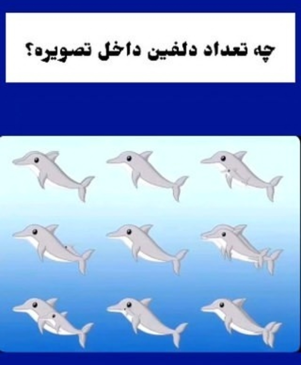 چه تعداد دلفین داخل تصویر می بینید؟