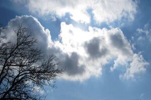 برای امروز و فردا جوی آرامی در کشور پیش‌بینی شده است.